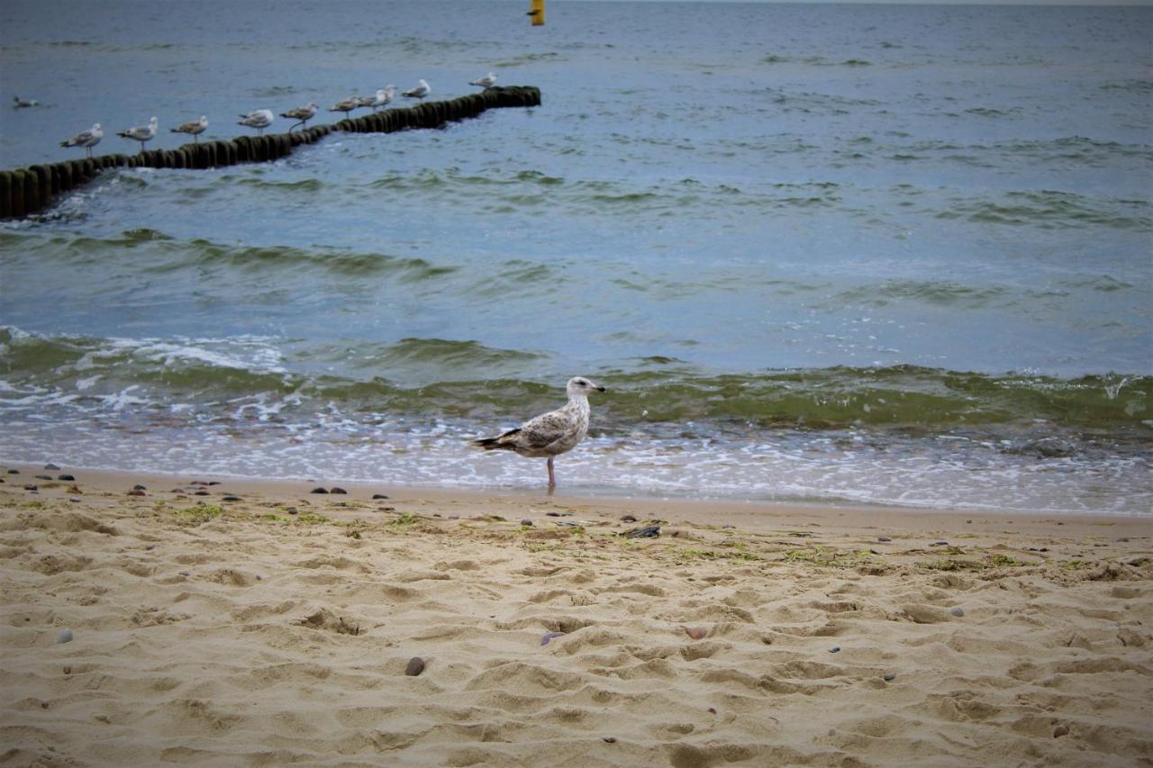 Prima Playa Miedzyzdroje